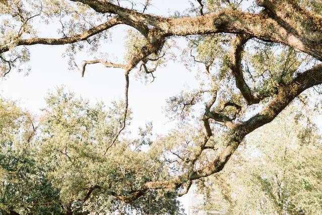 Ambiance Provence