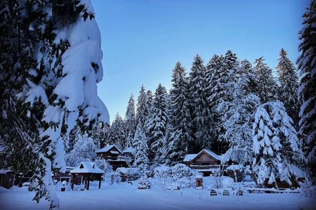 Mariage d'hiver