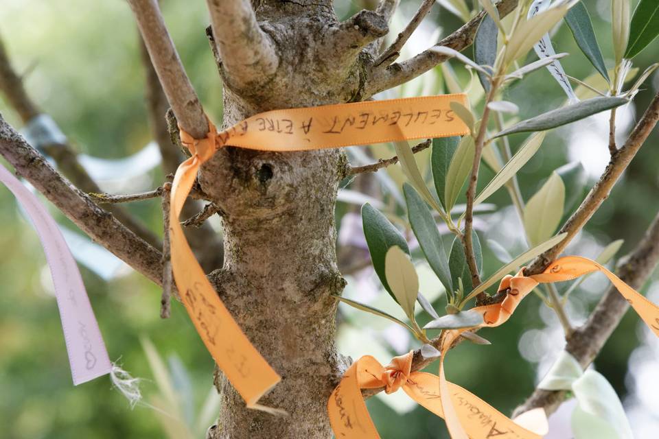 Rituel arbre à voeux mariage