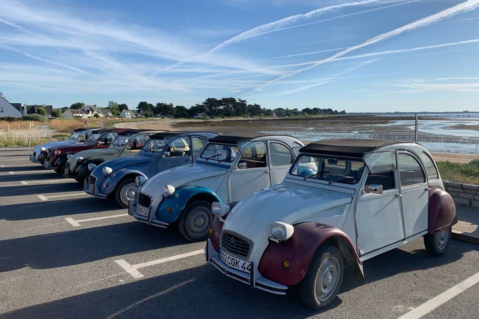 Flotte de 2cv