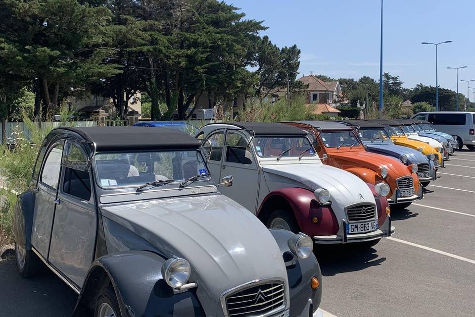 Flotte de 2cv