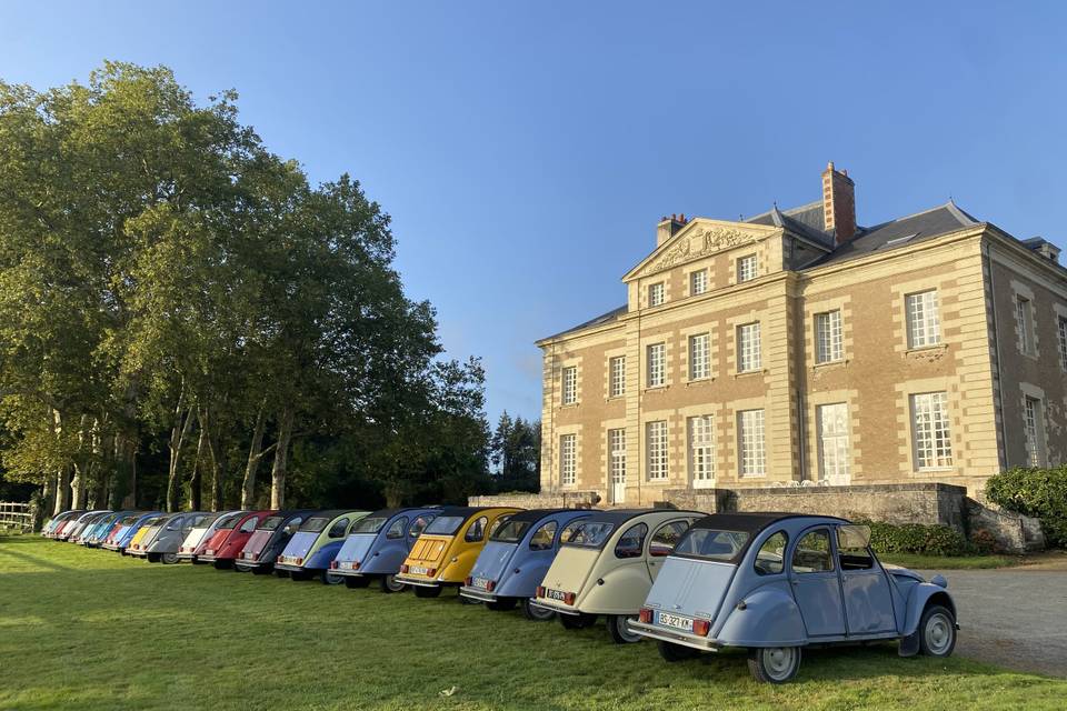 Flotte de 2cv