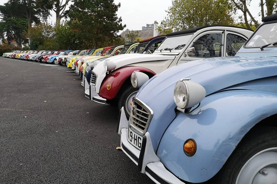 cache moyeu de mon dernier volant - Photo de mes volants suivant mes envies  - funnydeuche ma 2cv ma passion