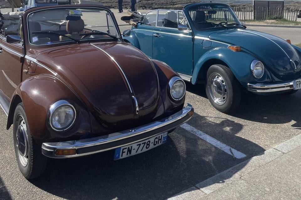 Coccinelles cabriolets