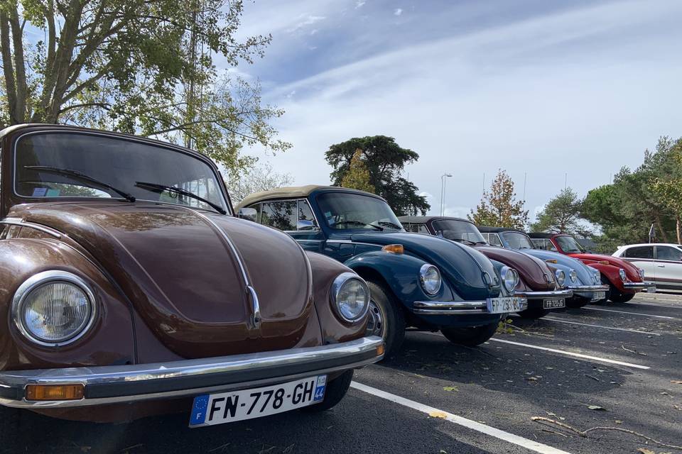 Coccinelles Cabriolets