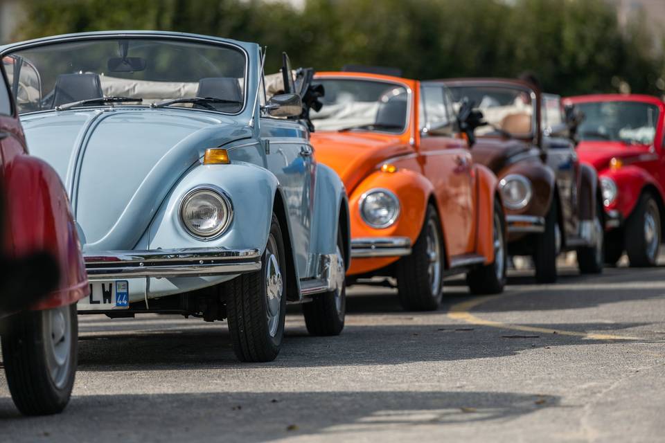 Coccinelles cabriolets