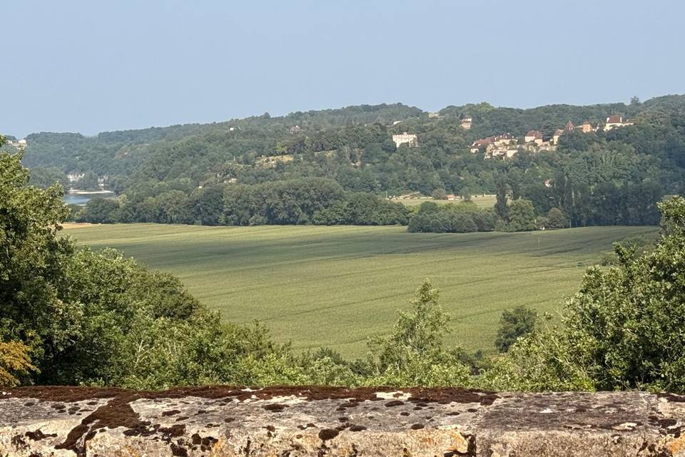 Vue Dominante sur Limeuil