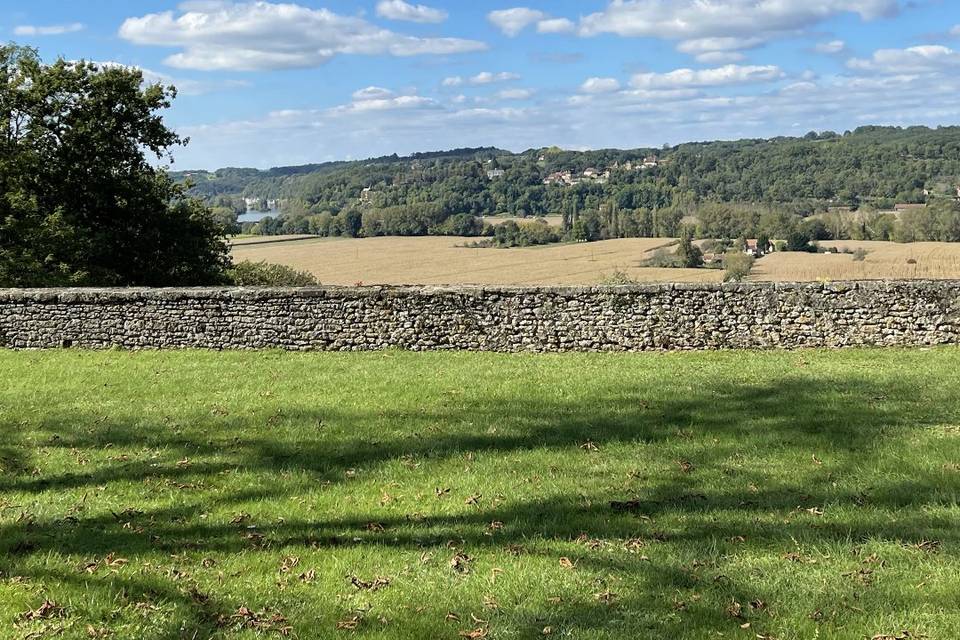 Vue dominante