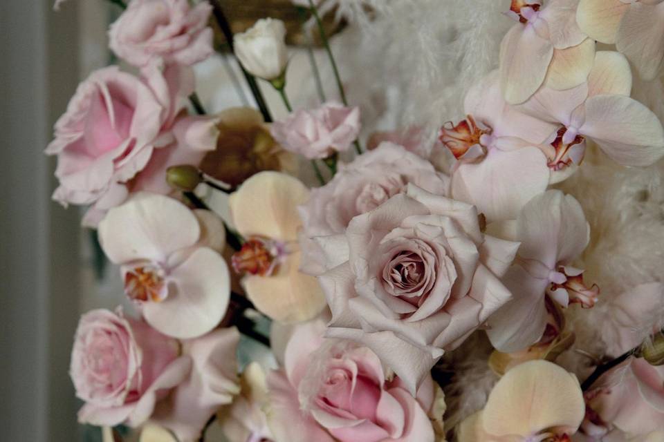 Doux et pastel