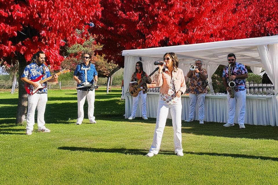 Quality Street Band