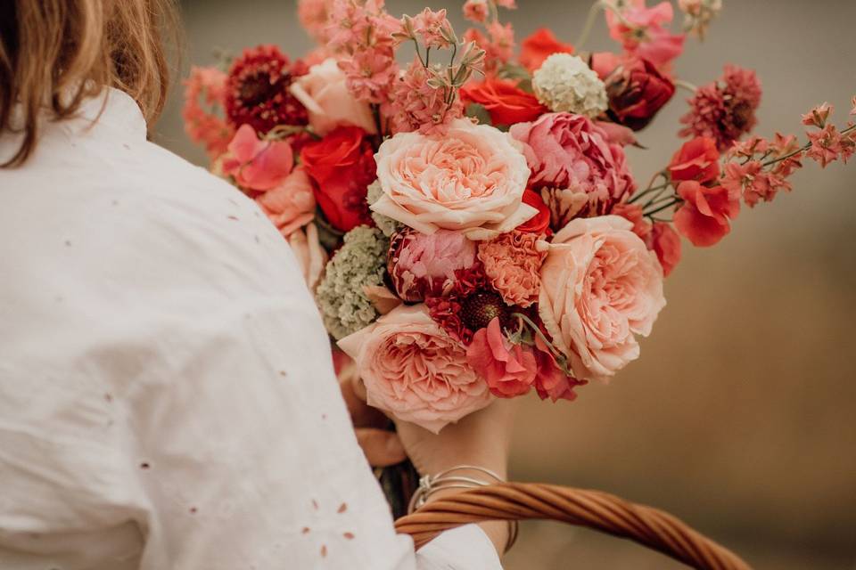 Pivoine d’amour