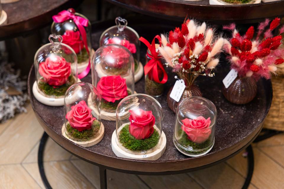Roses sous cloche