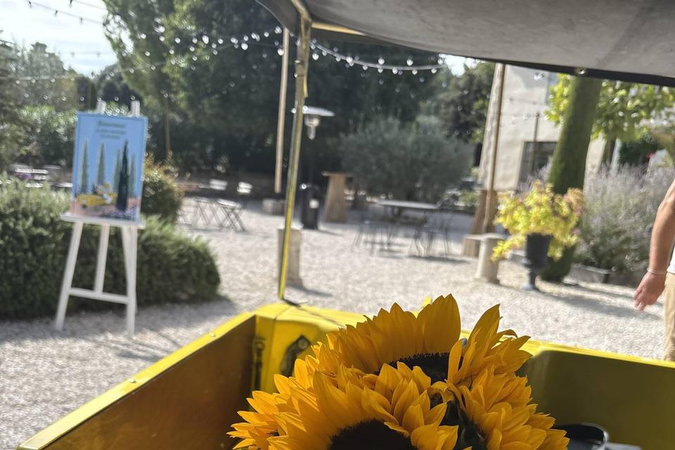 Bouquets e tournesol