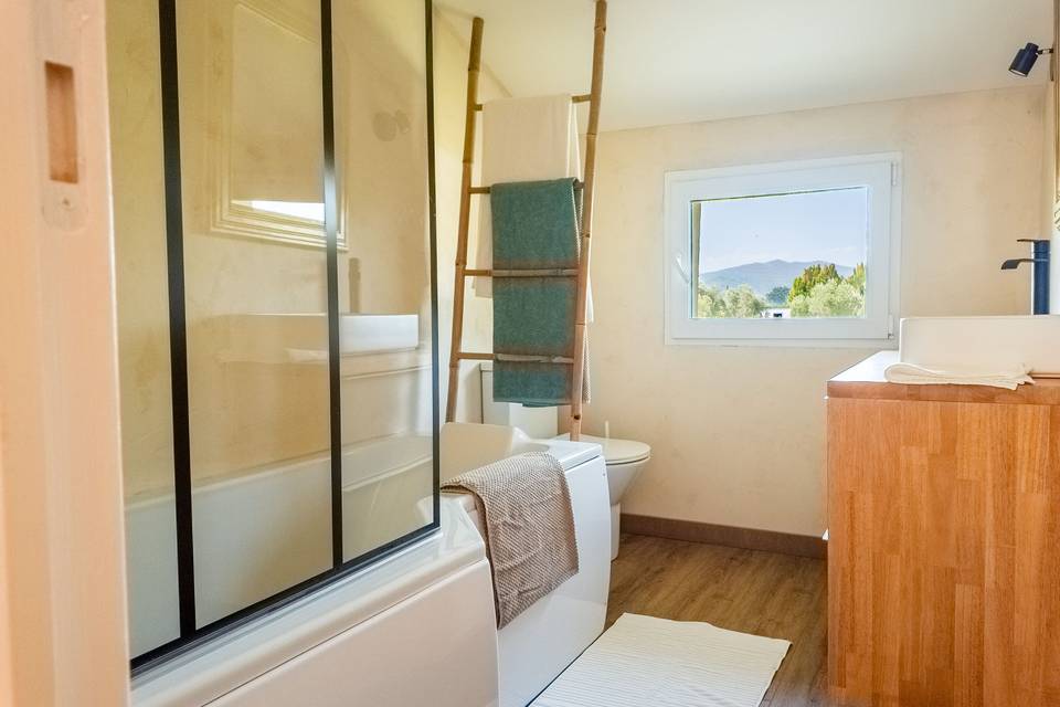 Salle de bains avec baignoire suite