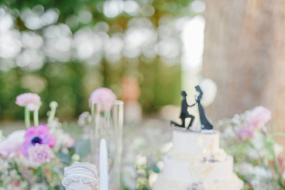 Wedding de prestige – Organisa