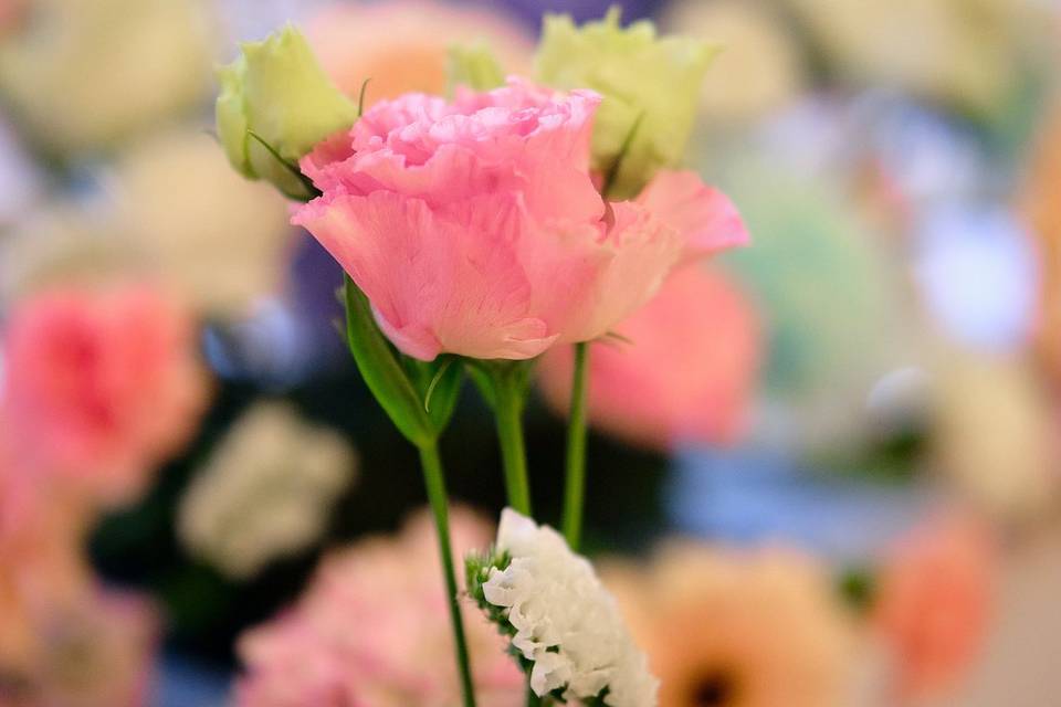 Mariage de S&L
