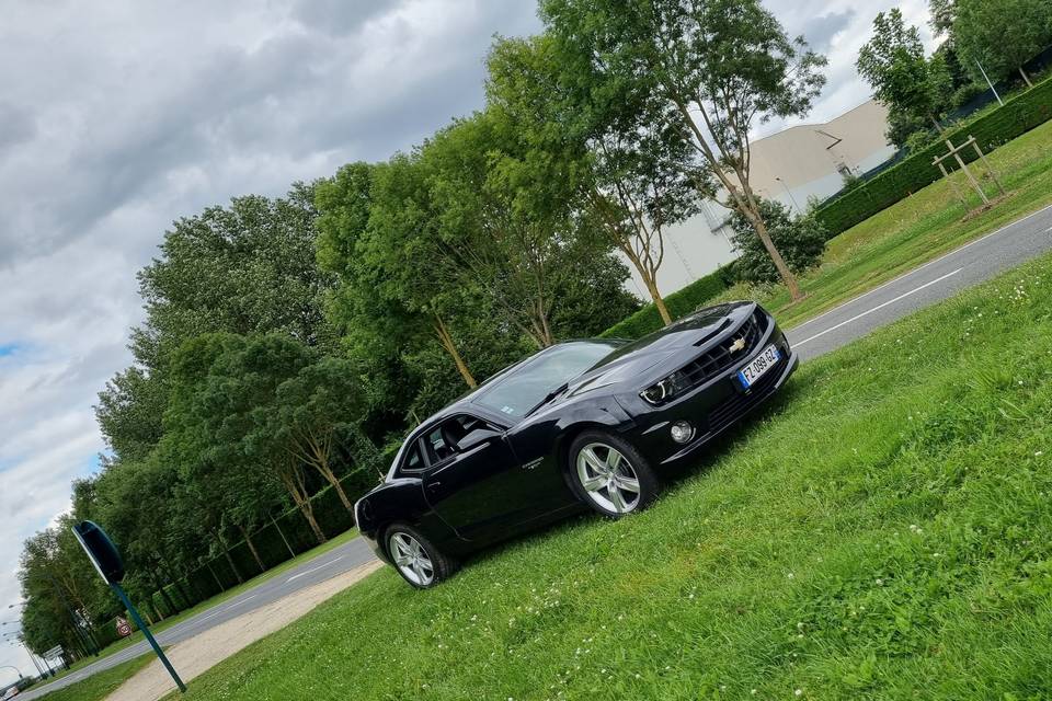 CAMARO 45th V8