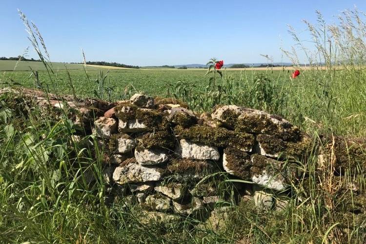 Le Petit Château de Seicheprey