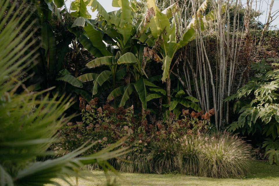 Jardin