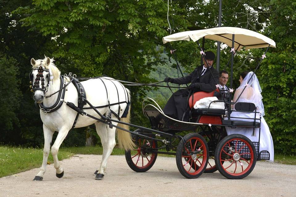 Les Attelages du Sud-Ouest