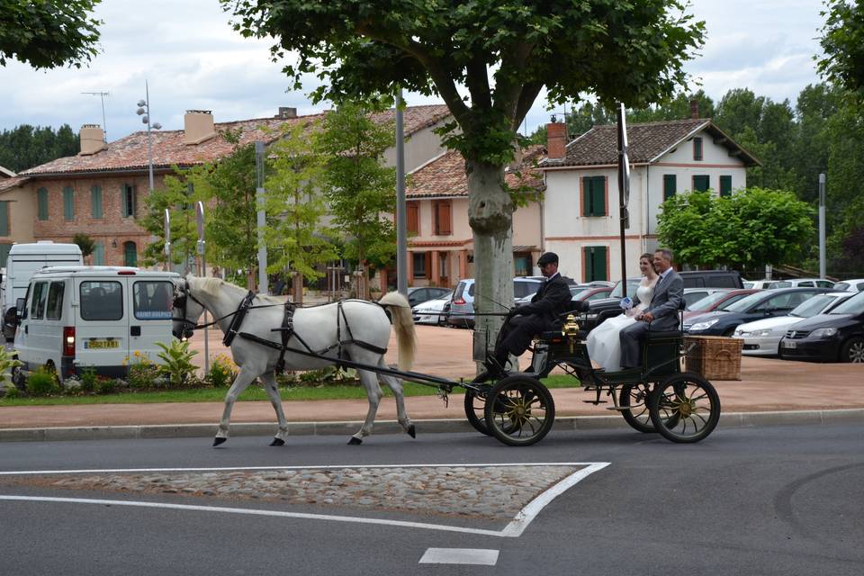 Les Attelages du Sud-Ouest