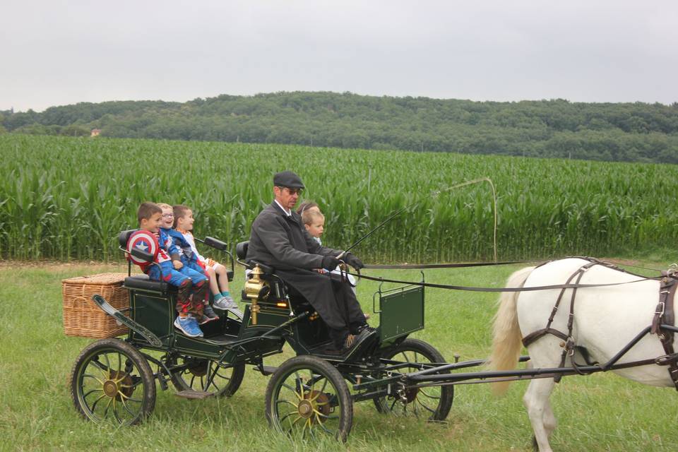 Pour les invités