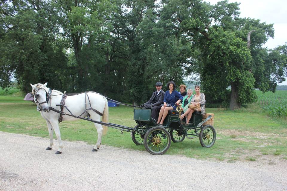 Les Attelages du Sud-Ouest