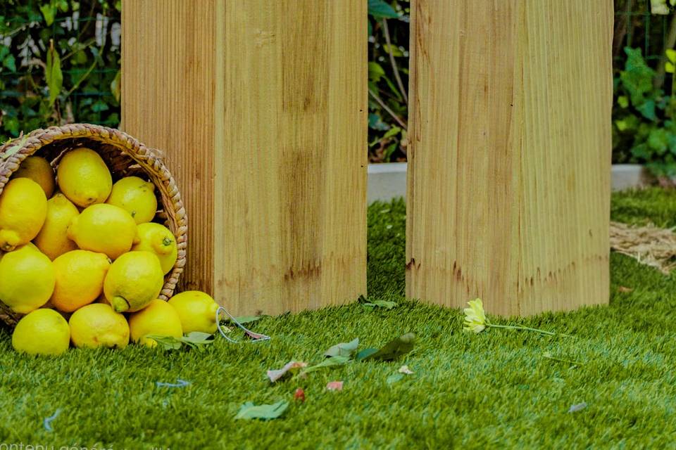 Jardin