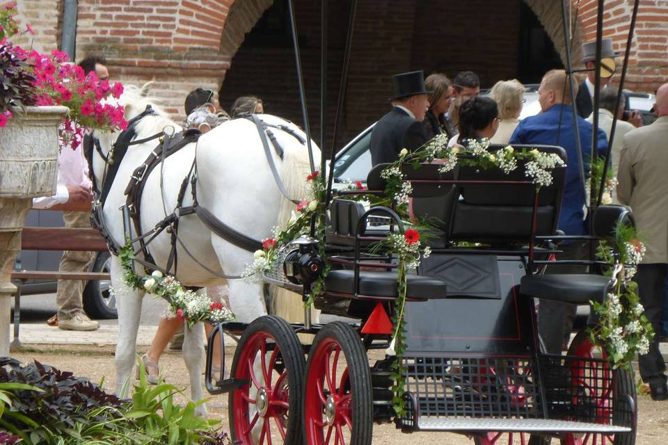 La calèche de l'arrière