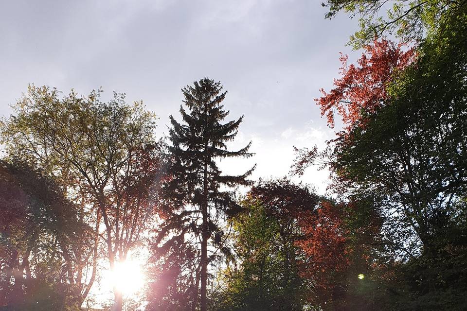 Parc.