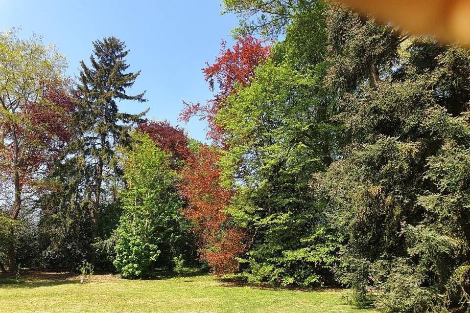 Parc.