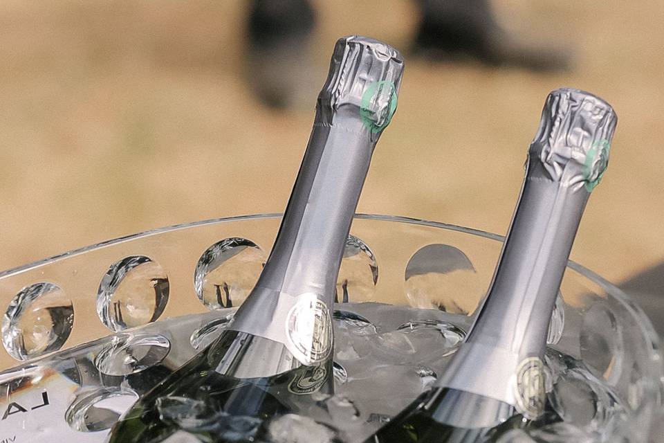 bouteilles_champagne_glacons_clair