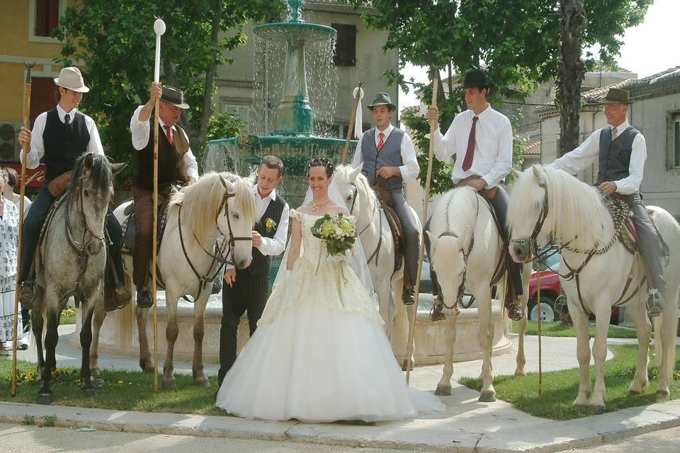 Camargue