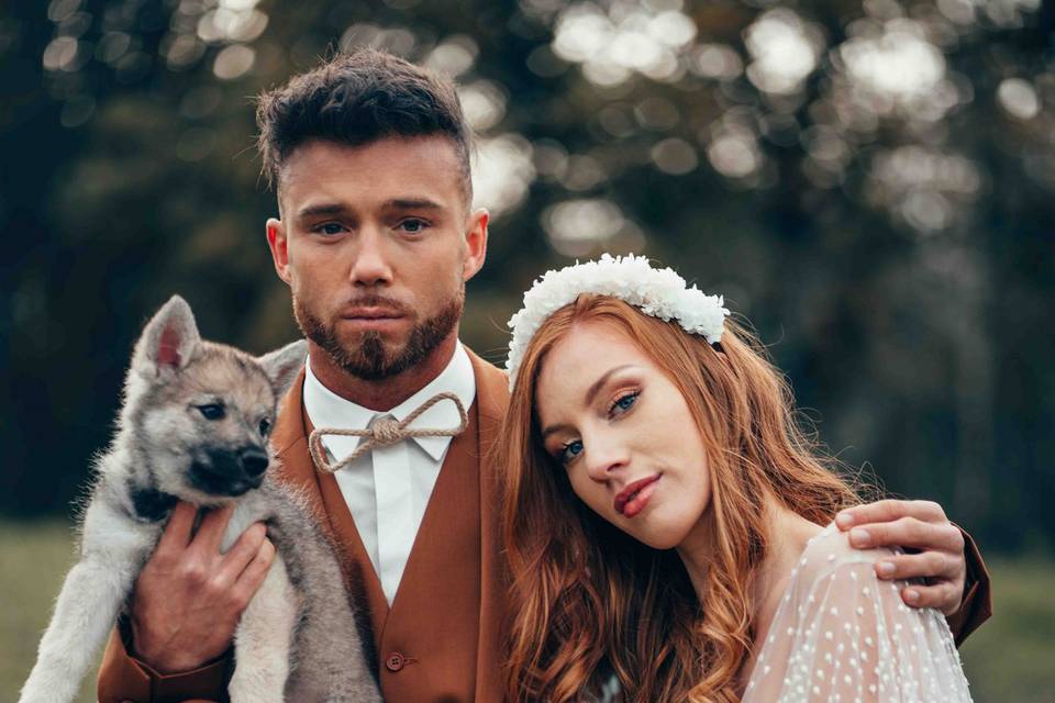 Chien loup x3