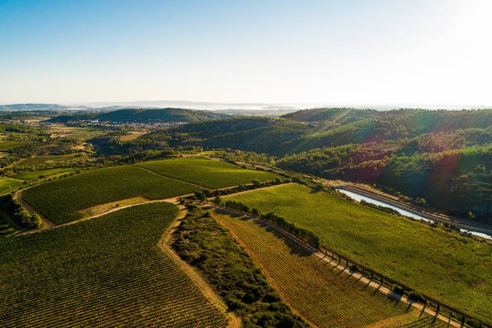 Le domaine