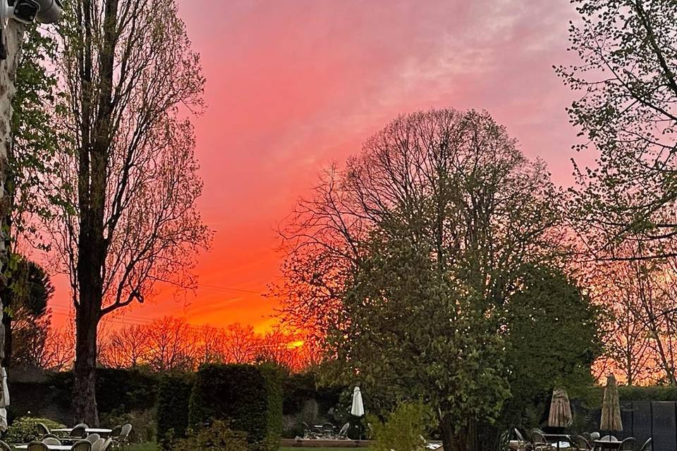 Jardin au coucher de soleil