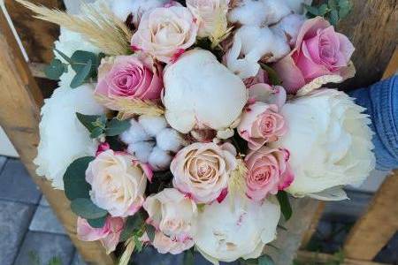 Pivoine blanche et coton