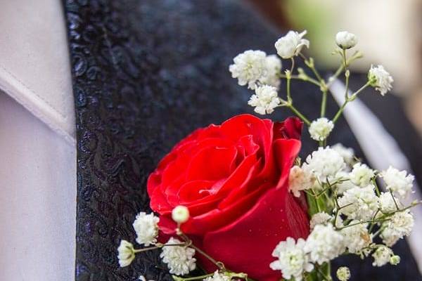Mariage Belle et la Bête