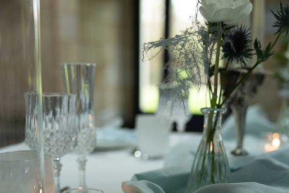 Shannyevents