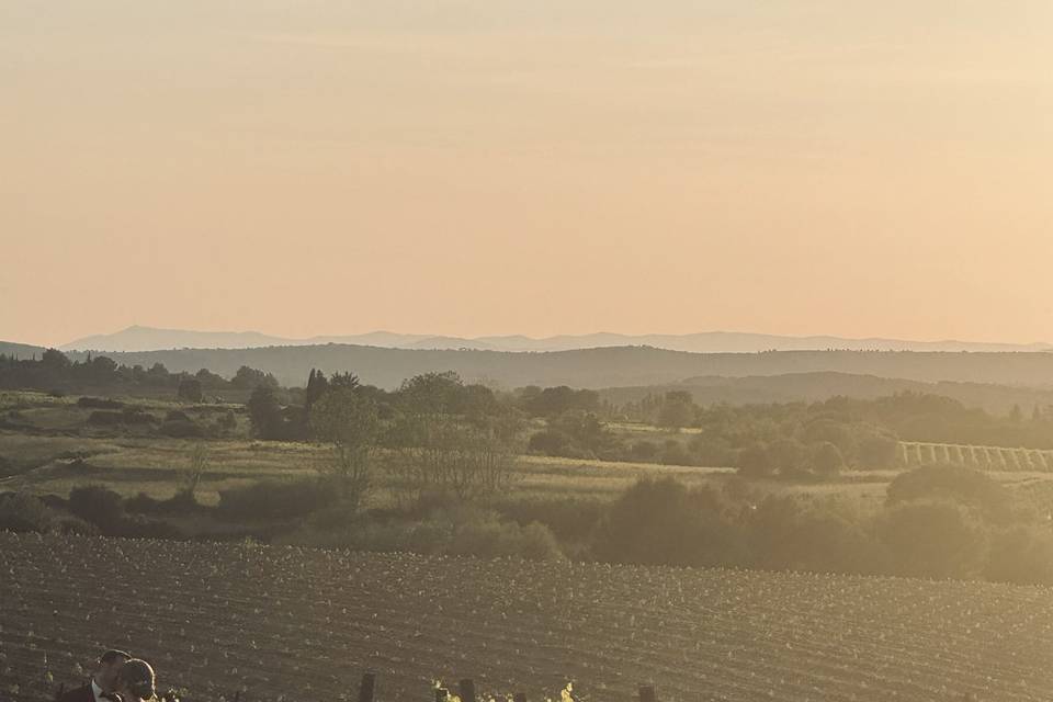 Mariage dans les Vignes