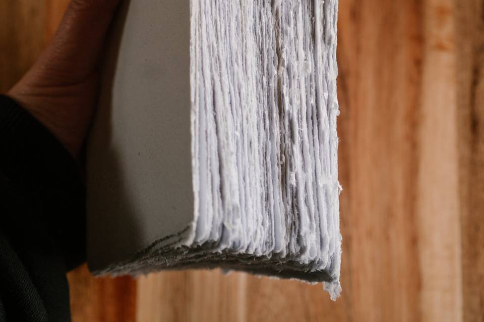 Détails feuilles