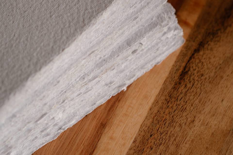 Détails texture