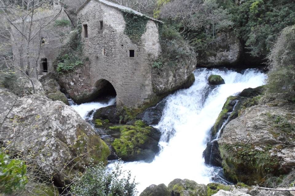 Excursion La Foux