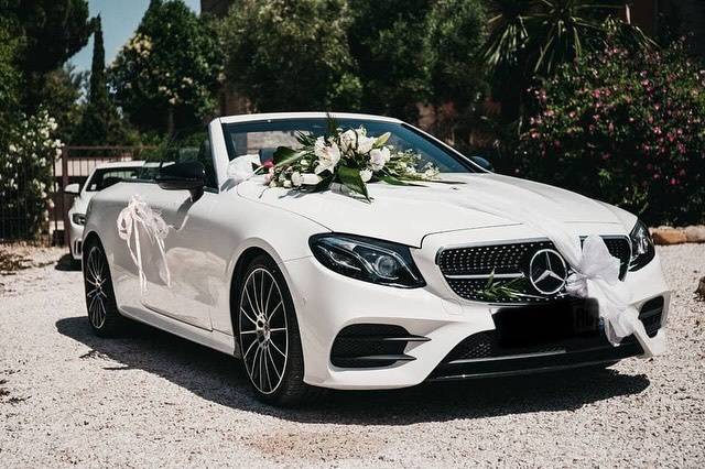 C'est Luxe BB