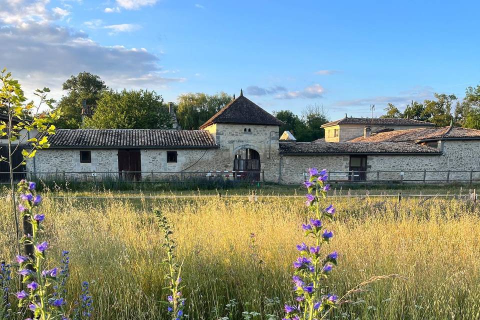Domaine de Bafave
