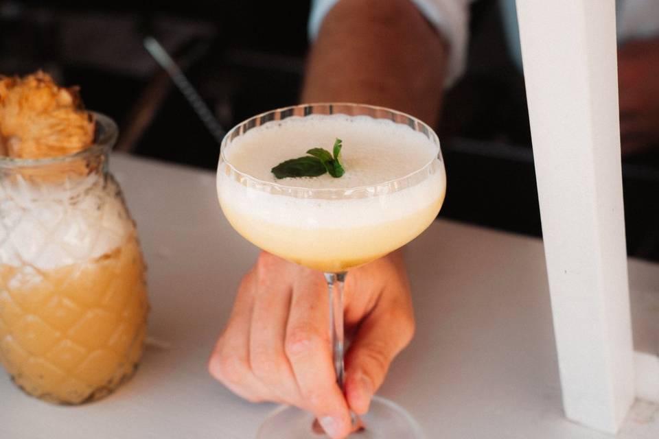 Dégustation raffinée 🥂