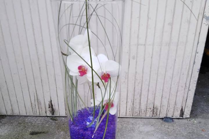 Vase orchidee imergee