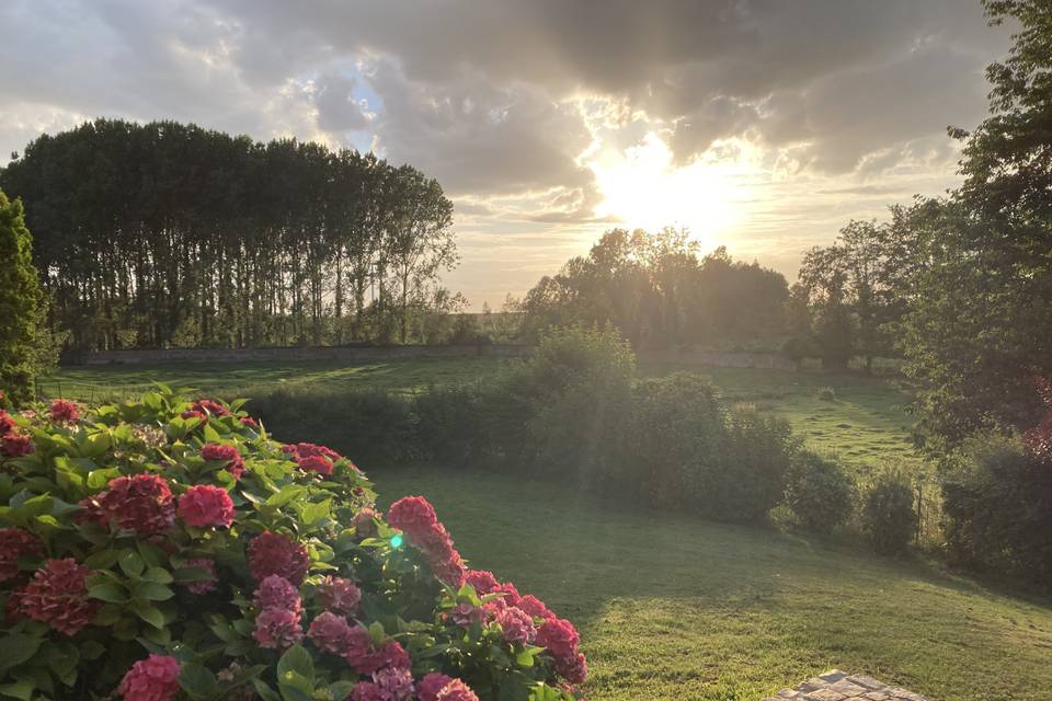 Vue du jardin de la salle