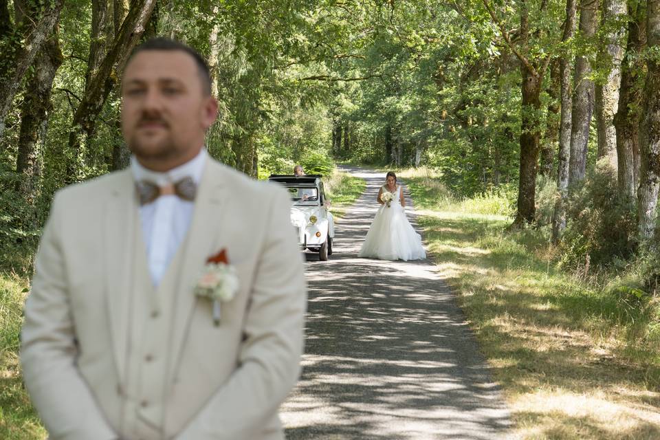 First Look