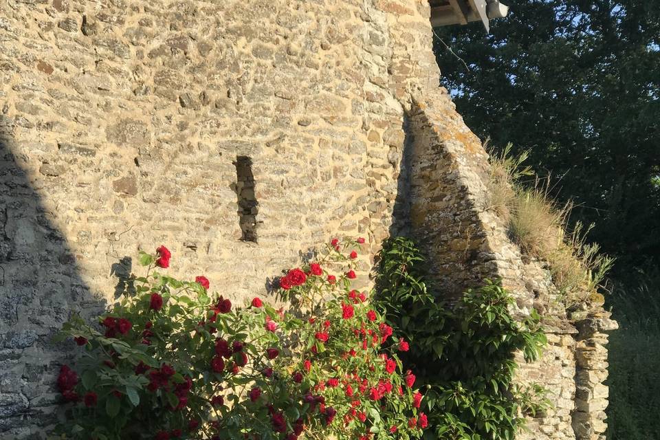 Domaine